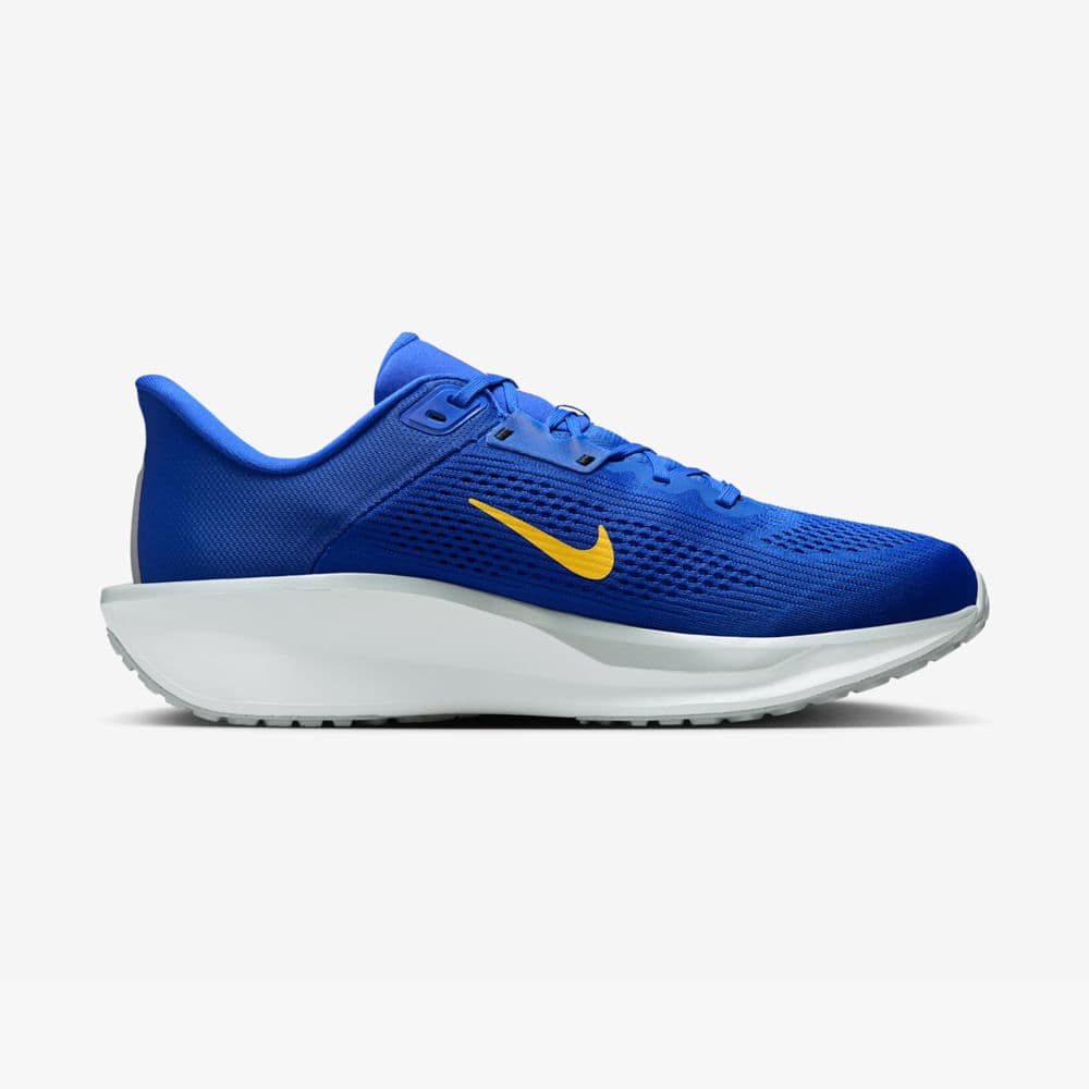 Tênis Nike Quest 6 Masculino